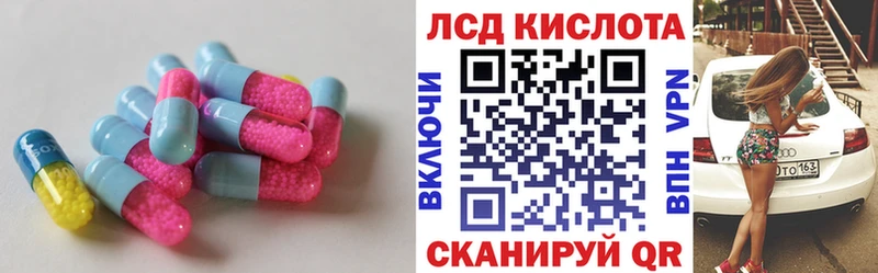 мега ссылка  Прохладный  Лсд 25 экстази кислота  дарнет шоп 