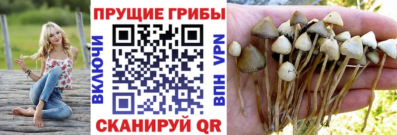 Галлюциногенные грибы MAGIC MUSHROOMS  Прохладный 